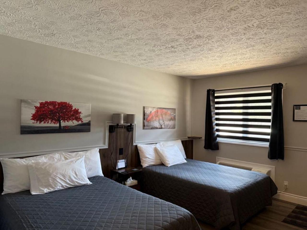 Auberge Micky Inc Едмъндстън Екстериор снимка